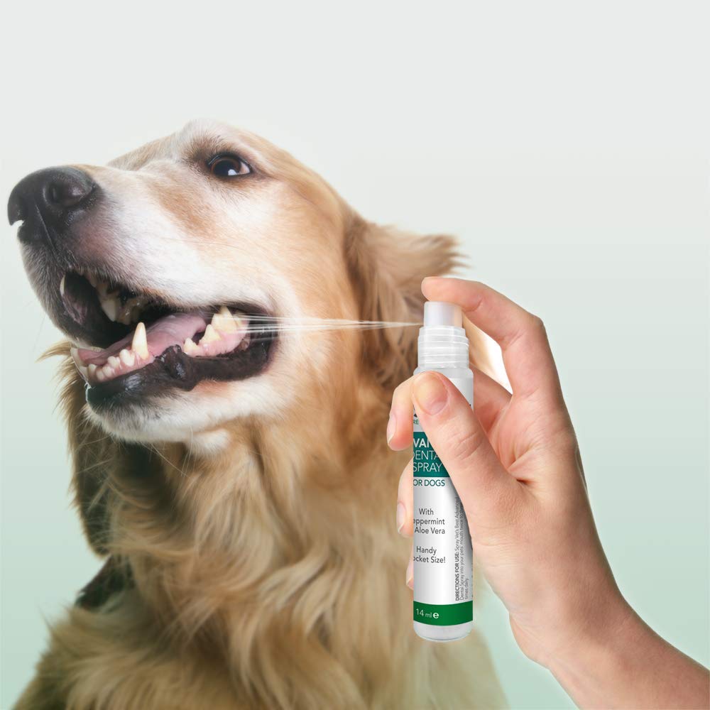 Advanced Dental Spray With Peppermint and Aloe Vera 14ml - Shopivet.com