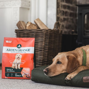 Arden Grange Daily All Breeds Adult Fresh Chicken & Rice Dry Dog Food - 2kg