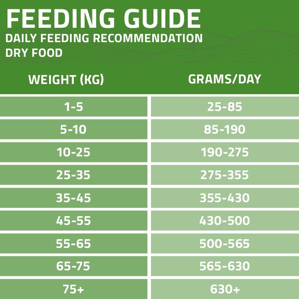Arden Grange Daily All Breeds Adult Fresh Lamb & Rice Dry Dog Food - 6kg
