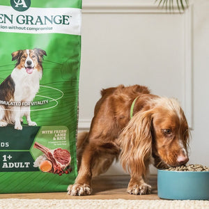 Arden Grange Daily All Breeds Adult Fresh Lamb & Rice Dry Dog Food - 6kg