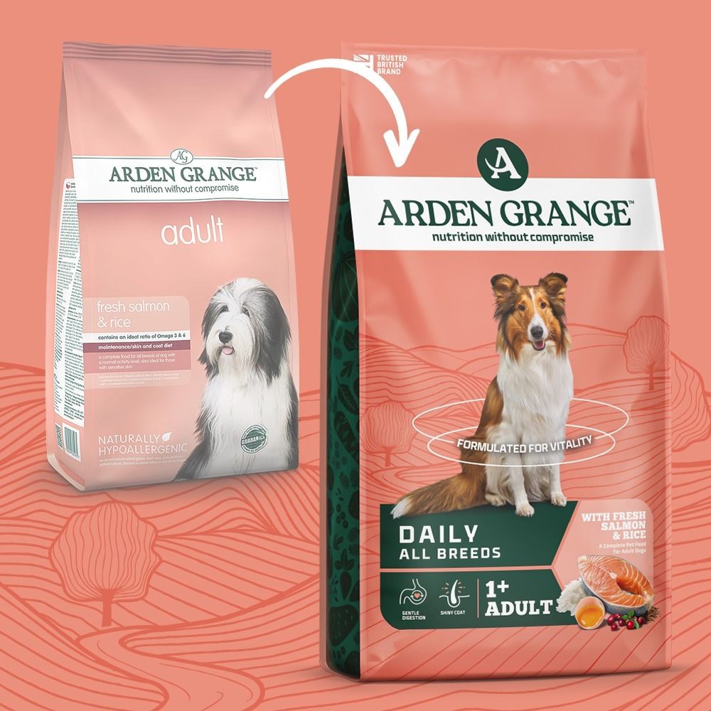 Arden Grange Daily All Breeds Adult Salmon & Rice Dry Dog Food - 6kg