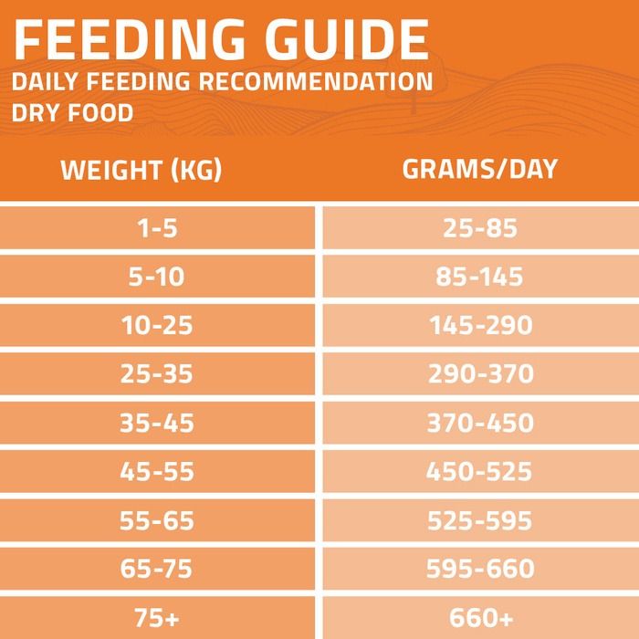 Arden Grange Daily All Breeds Senior with Fresh Chicken & Rice Dry Dog Food - 12kg