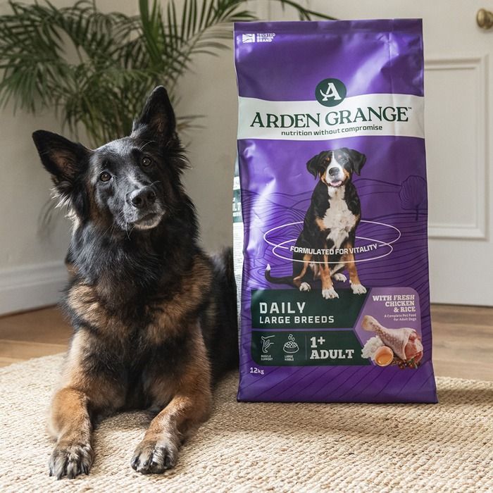 Arden Grange Daily Large Breeds Adult Fresh Chicken & Rice Dry Dog Food - 2kg