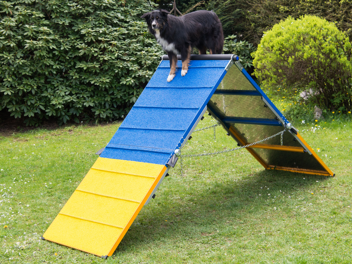 Agility Professional A-Wall (3 parts)