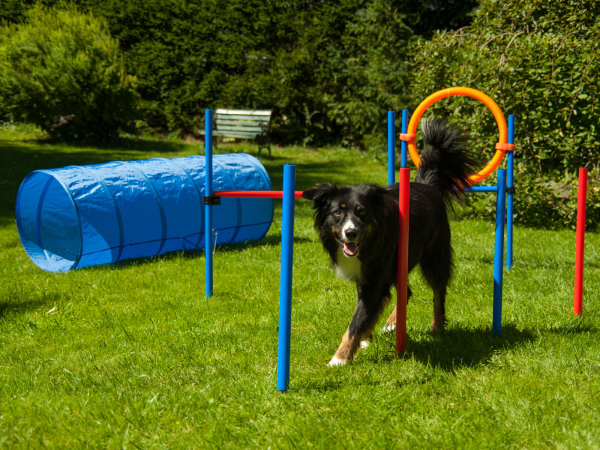 Agility Set K2