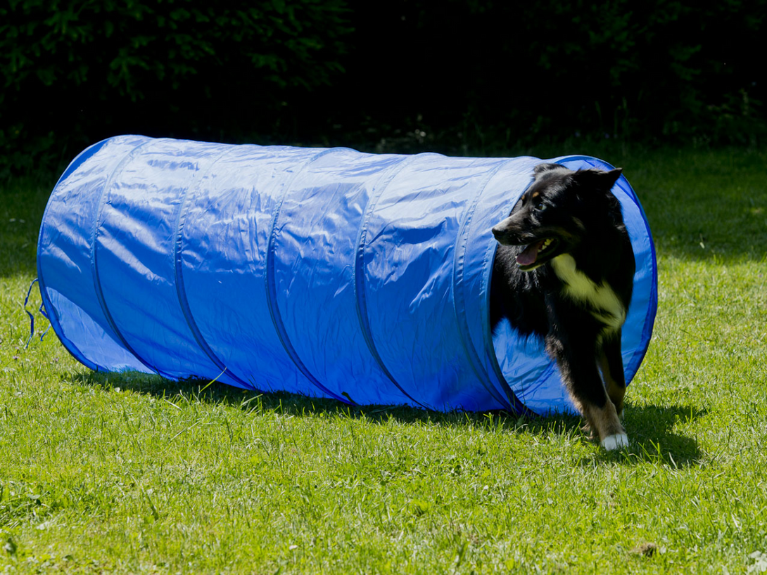 Agility Tunnel 35 cm dia x 100 cm