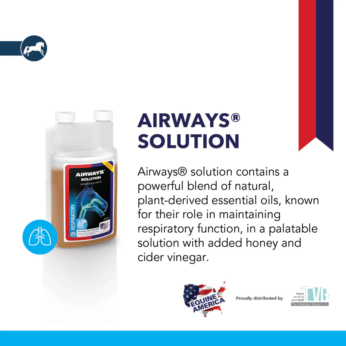 AIRWAYS® SOLUTION 500ml - Shopivet.com