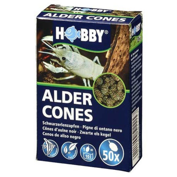 Alder Cones (50 pcs) - Shopivet.com