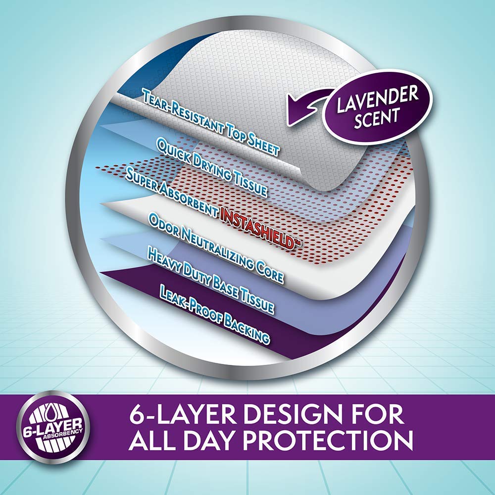 All Day 6 - Layer Premium Dog Pads, 23 x 24 in (Pack of 50) - Shopivet.com