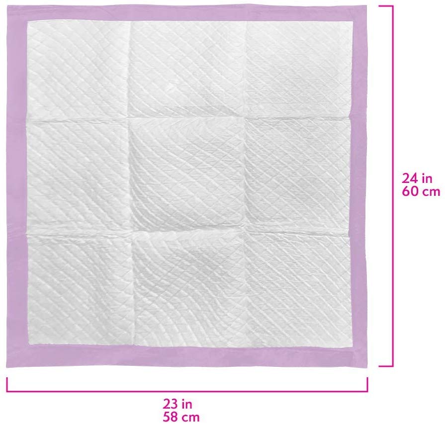 All Day 6 - Layer Premium Dog Pads, 23 x 24 in (Pack of 50) - Shopivet.com