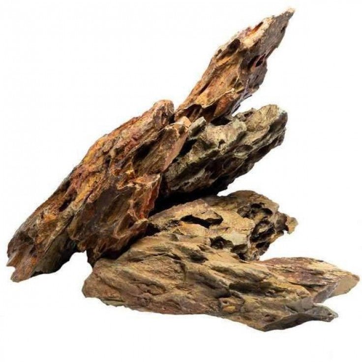 ALVEOLATE AQUARIUM ROCK - MEDIUM / 18-23CM / BOX صخرة حوض السمك - Shopivet.com