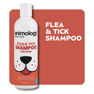 Animology Essentials Flea & Tick Dog Shampoo 250ml - 250ml