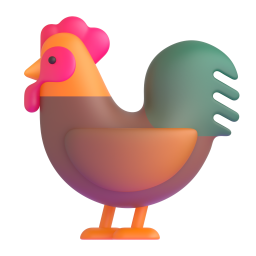 دواجن