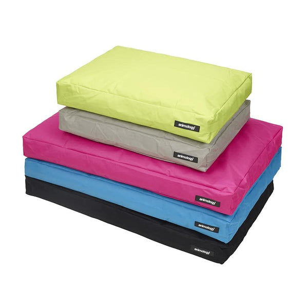 Animology Crash Pad Dog Bed - BLACK M