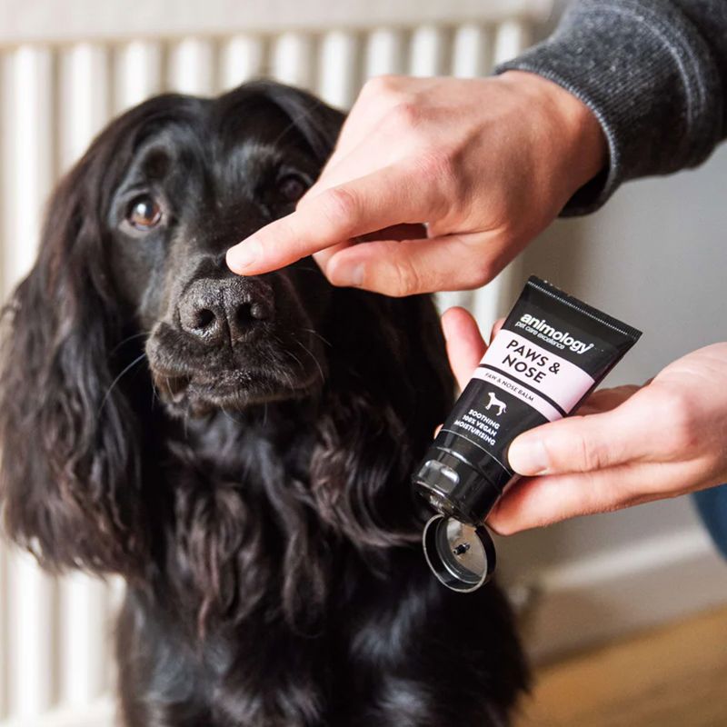 Animology Paws & Nose Soothing Vegan Dog Balm 50ml - 50ml - Shopivet.com