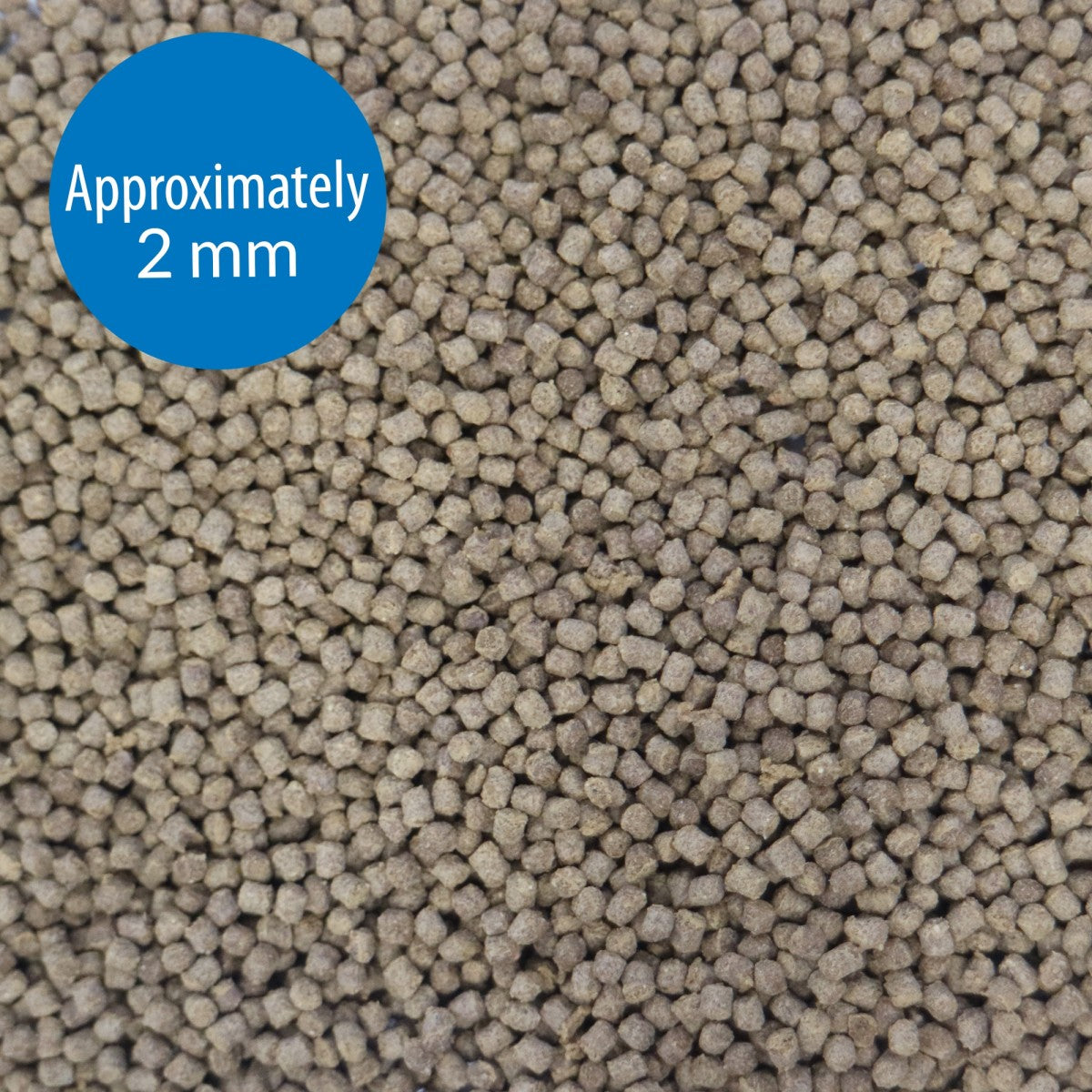 API Pellets Tropical Fish Food, 1.6 OZ