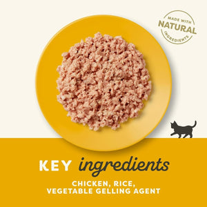 Applaws Chicken Wet Kitten Food 70g Tin - 70G - Shopivet.com