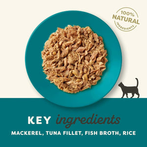 Applaws Ocean Fish Adult Wet Cat Food Tin - 156G - Shopivet.com