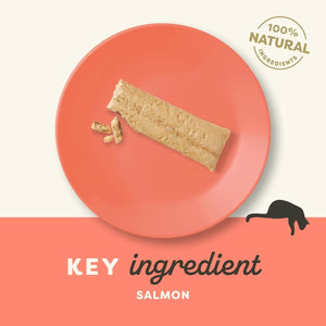 Applaws Salmon Fillet Cat Treats 30g - 30g - Shopivet.com