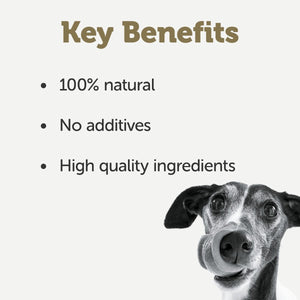 Applaws Taste Toppers in Broth Chicken with Beef Wet Dog Food 156g Tin - 156G - Shopivet.com