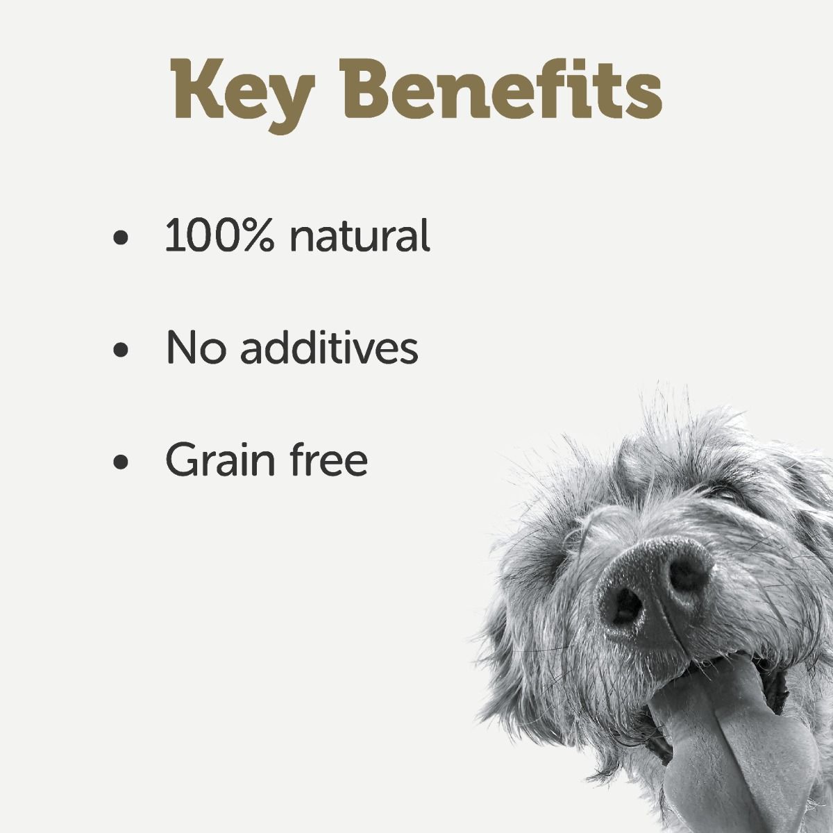Applaws Taste Toppers in Gravy Chicken with Beef Wet Dog Food 156g Tin - 156G - Shopivet.com