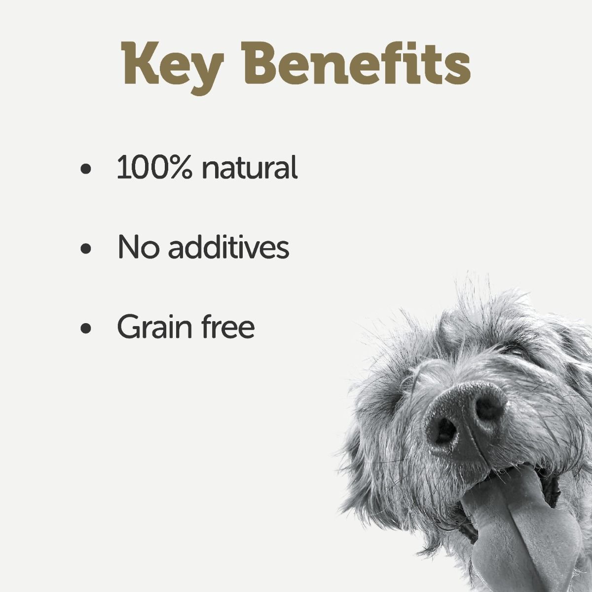 Applaws Taste Toppers Stew Beef with Vegetables Wet Dog Food 156g Tin - 156G - Shopivet.com