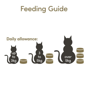 Applaws Tuna Fillet with Sardine Senior Wet Cat Food 70g Tin - 70G - Shopivet.com