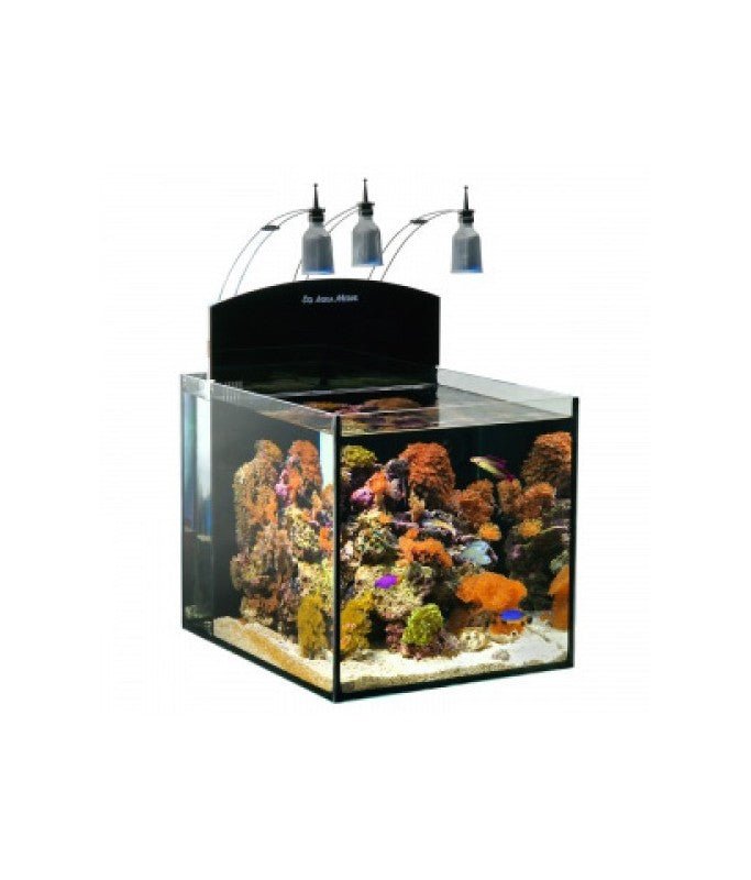 Aqua Medic Blenny Nano Aquarium (40 x 50 x 40cm) - Shopivet.com