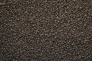 Aqua Soil Powder - Amazonia (3 L)