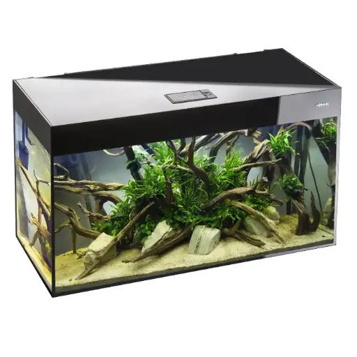 Aquael Aquarium Glossy Day & Night black[Dimension - 120 x 40 x 63cm] - Shopivet.com