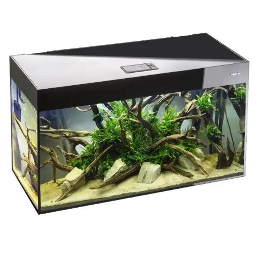 Aquael Aquarium Glossy Day & Night black[Dimension - 150 x 50 x 63cm] - Shopivet.com