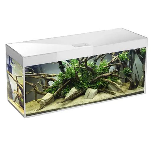 Aquael Aquarium Glossy ST 120 day & Night White [Dimension - 120 x 40 x 63cm] - Shopivet.com