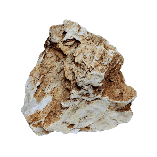 Aqualife Chicken Bone Stone - Per Kg - Shopivet.com