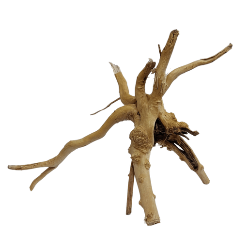 Aqualife Little Tree Root - Per Kg - Shopivet.com