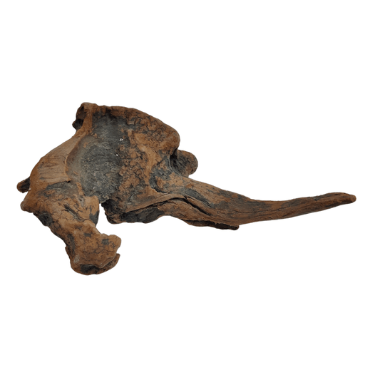 Aqualife Sunken Wood - Per Kg - Shopivet.com