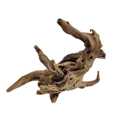 Aqualife Thorn Tree - Per Kg - Shopivet.com