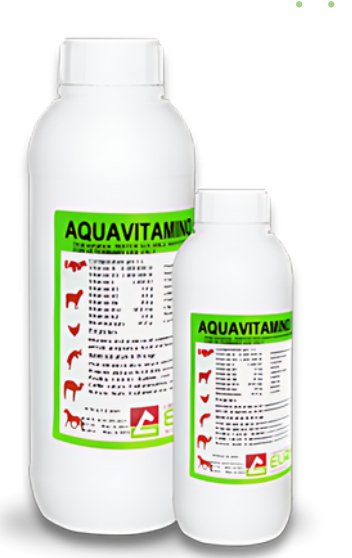 AQUAVITAMINO EURO multivitamin for stress and reproduction - Shopivet.com