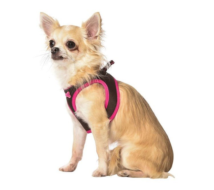 Arlequin Mini Harness / 2XS - Shopivet.com