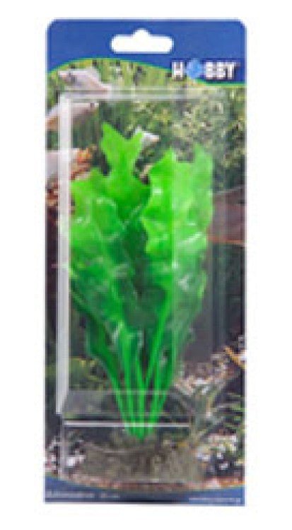 Artificial plant - Echinodorus - Shopivet.com