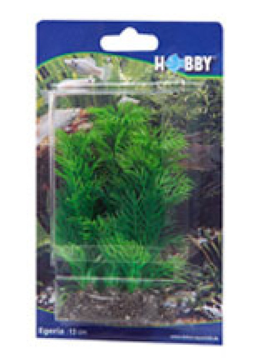 Artificial plant - Egeria 13 cm