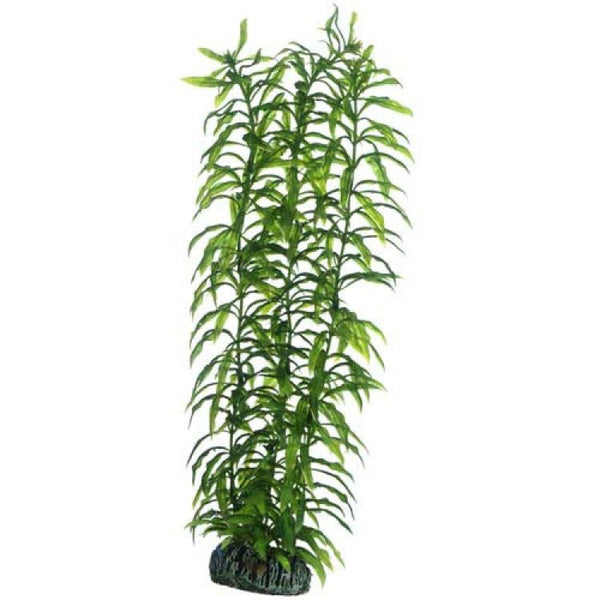 Artificial plant - Heteranthera large - Shopivet.com