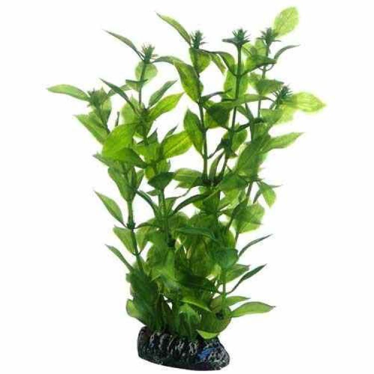 Artificial plant - Hygrophila large - Shopivet.com