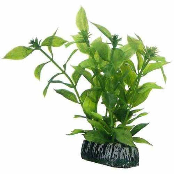 Artificial plant - Hygrophila small - Shopivet.com