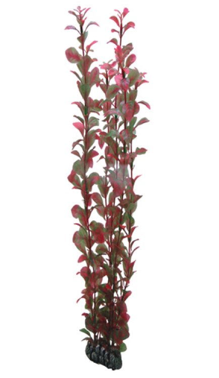 Artificial Plant - Ludwigia 60 cm - Shopivet.com