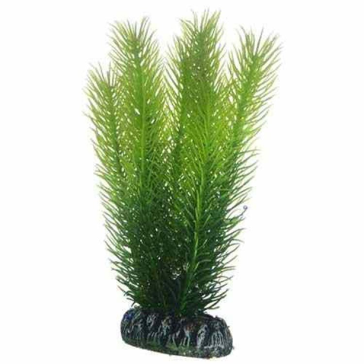 Artificial plant - Mayaca mediu - Shopivet.com