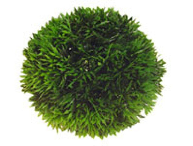 Artificial plant - Plant Ball Small - Shopivet.com