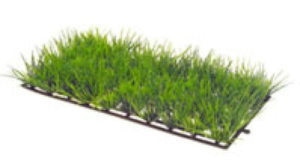 Artificial plant - Plant Mat 1 - Shopivet.com