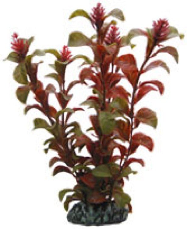 Artificial plant - Rotala (16cm) - Shopivet.com