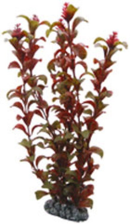Artificial plant - Rotala (30cm) - Shopivet.com