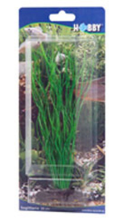 Artificial plant - Sagittaria - Shopivet.com